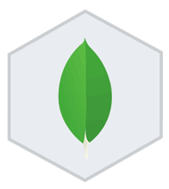 MongoDB Development | iSummation