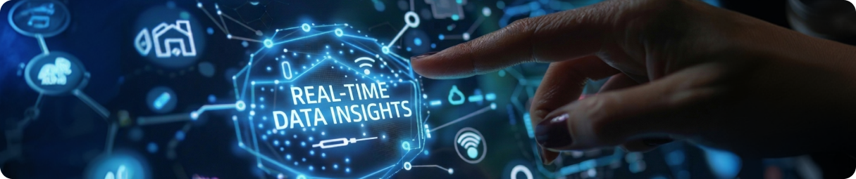Real-Time Data Insights