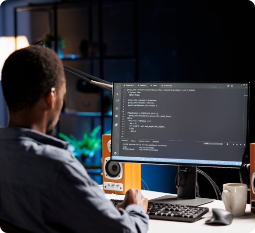 Custom Software Development Services